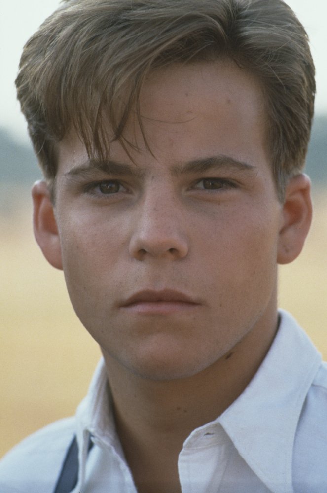 Stephen Dorff