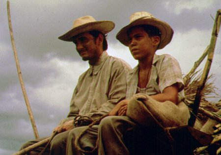 Reinaldo Arenas