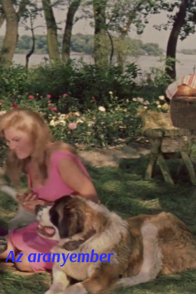 Az aranyember [Audio: Hungarian]