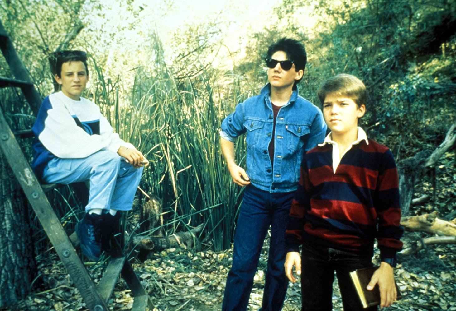 Rudy