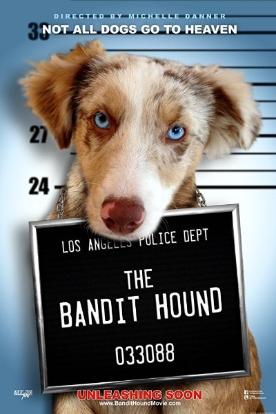 The Bandit Hound
