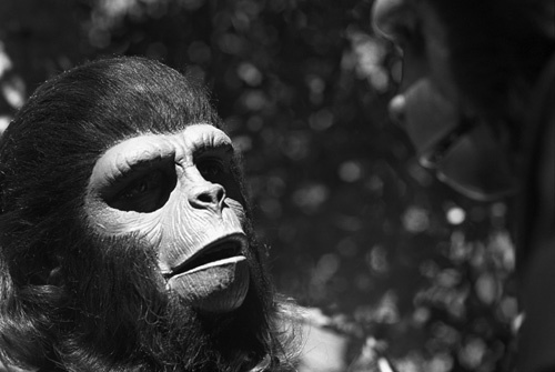 Roddy McDowall