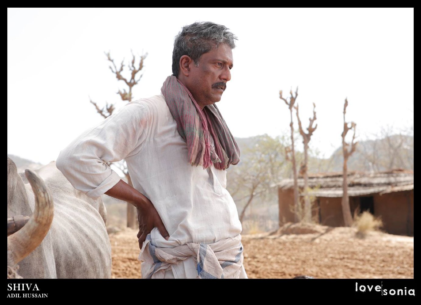 Adil Hussain