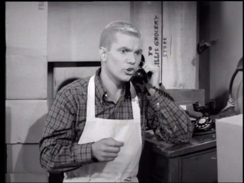Dwayne Hickman