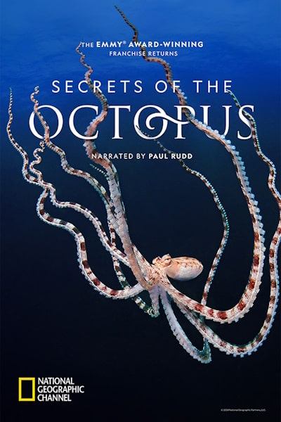 Secrets of the Octopus - Season 1