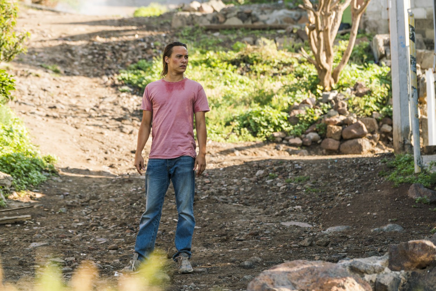 Frank Dillane