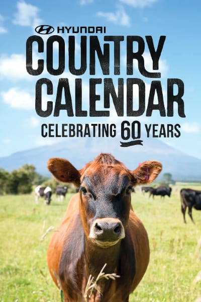 Hyundai Country Calendar - Season 61