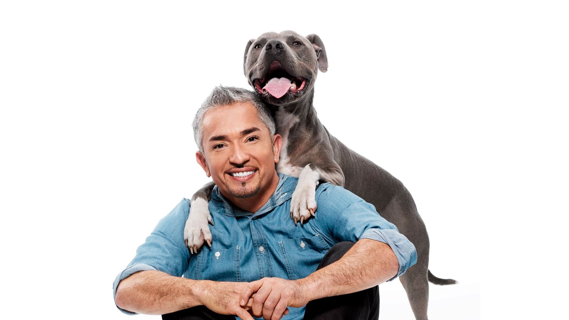 Cesar 911 - Season 1 Watch for Free in HD on Solarmovie