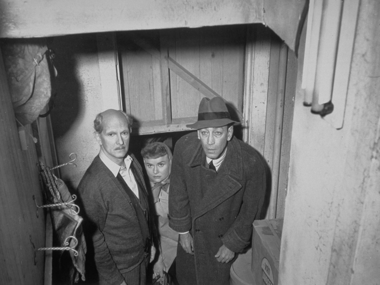 Dodie Heath